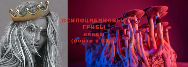 a pvp Алзамай