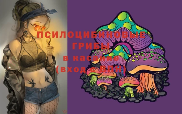 гашик Рославль