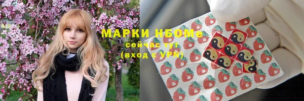 a pvp Алзамай