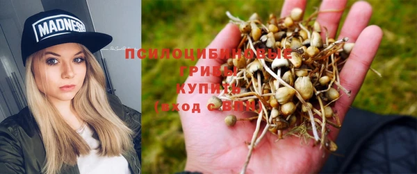 ALPHA-PVP Алексеевка
