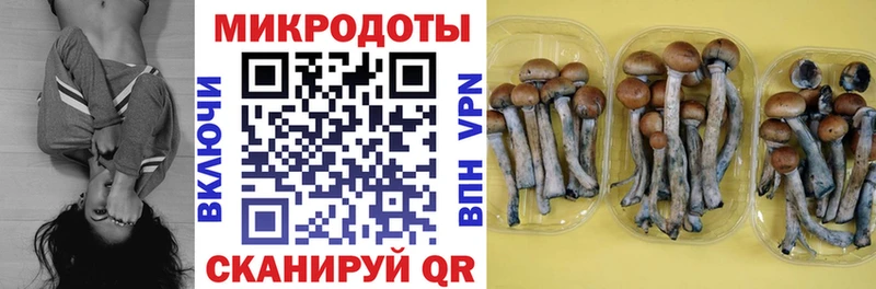 Псилоцибиновые грибы Magic Shrooms Олонец